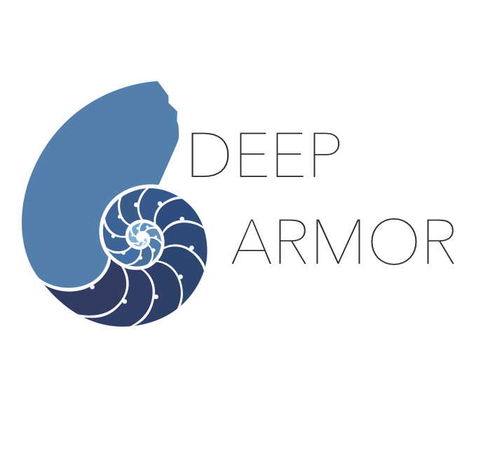 Deep Armor