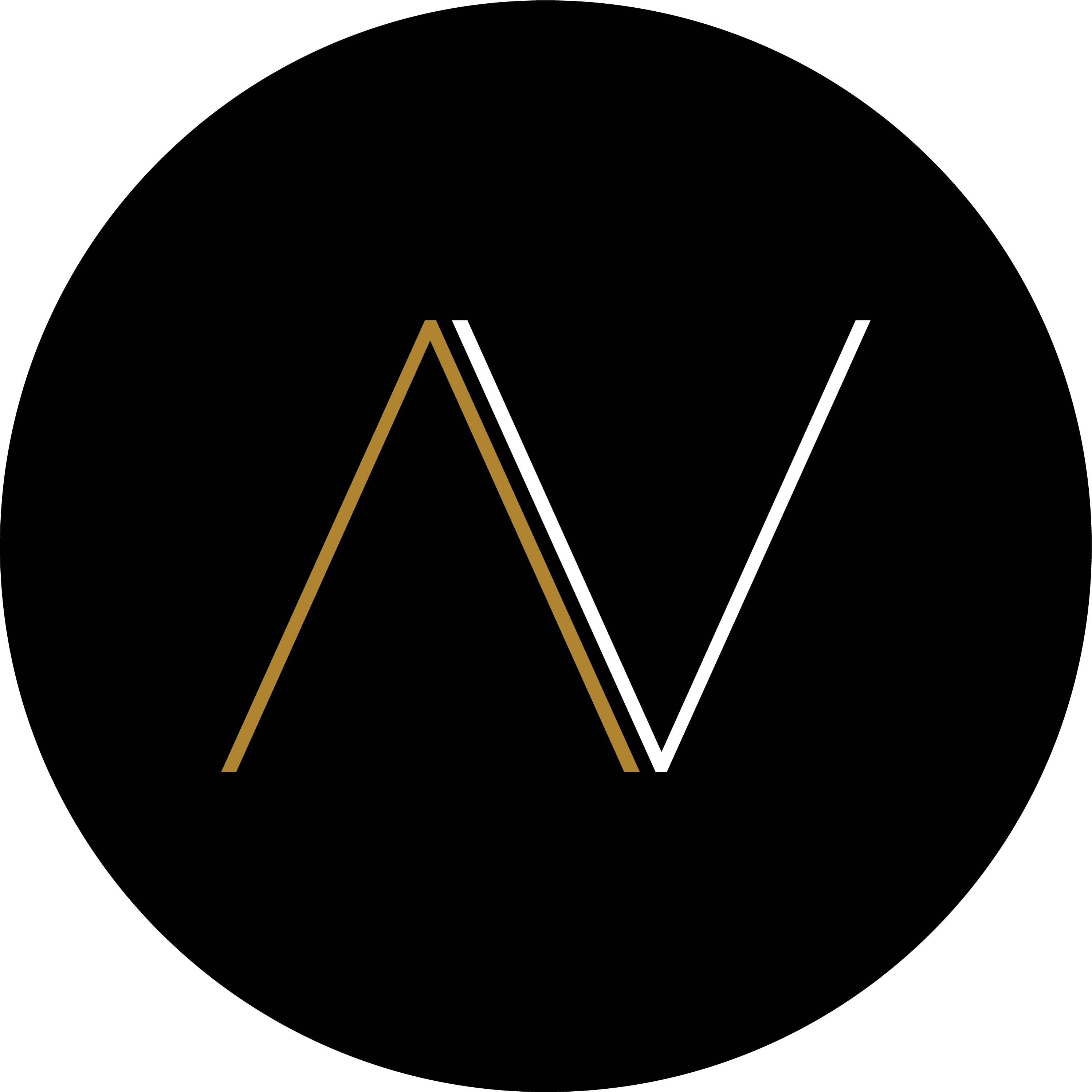 neonVest